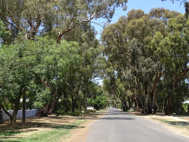 A HIDDEN GEM IN AVENEL- 1000m2 LOT