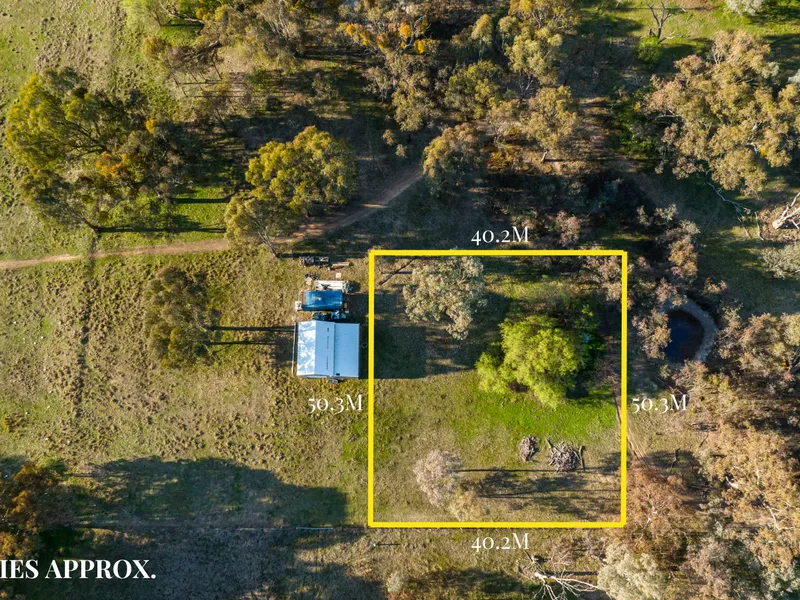 Rural Opportunity!
