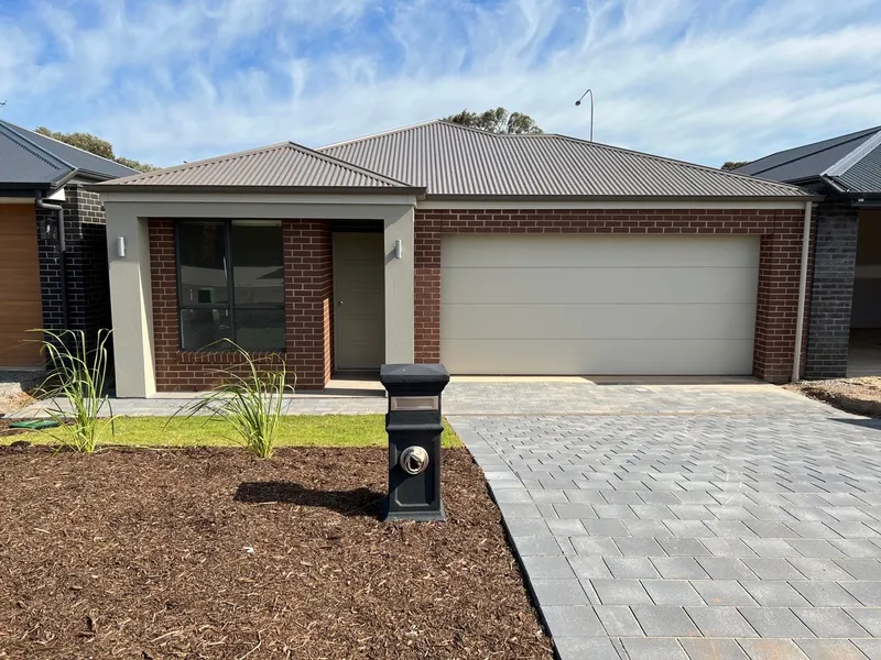 Brand New Home in Salisbury Heights!