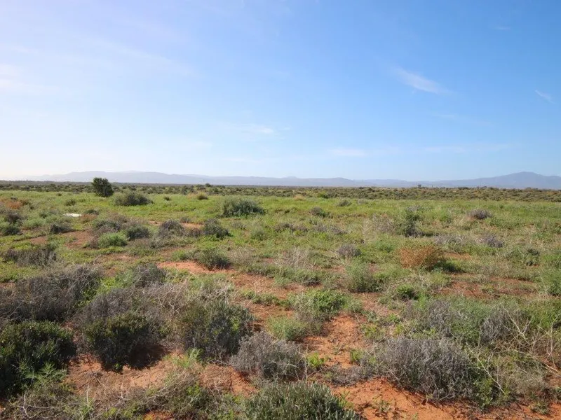Industrial Land at a Giveaway Price