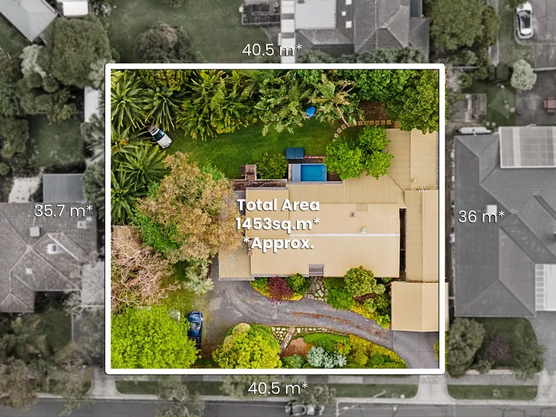 A rare gem in the heart of Blackburn Lake.