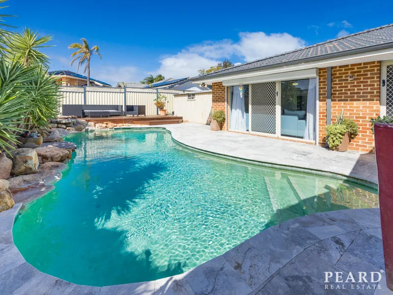 Must-See Family Entertainer!