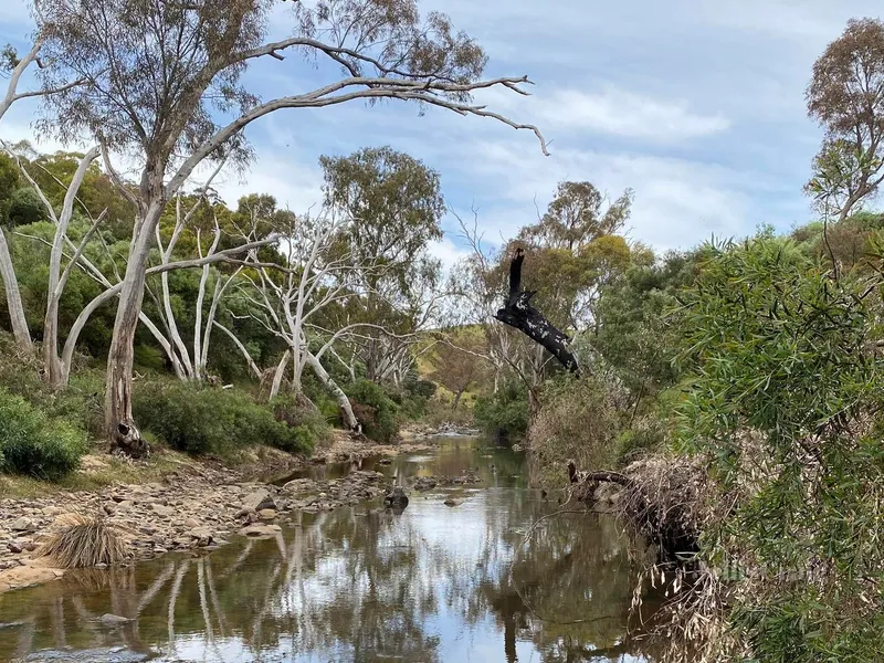 'Springview' on Pipers Creek