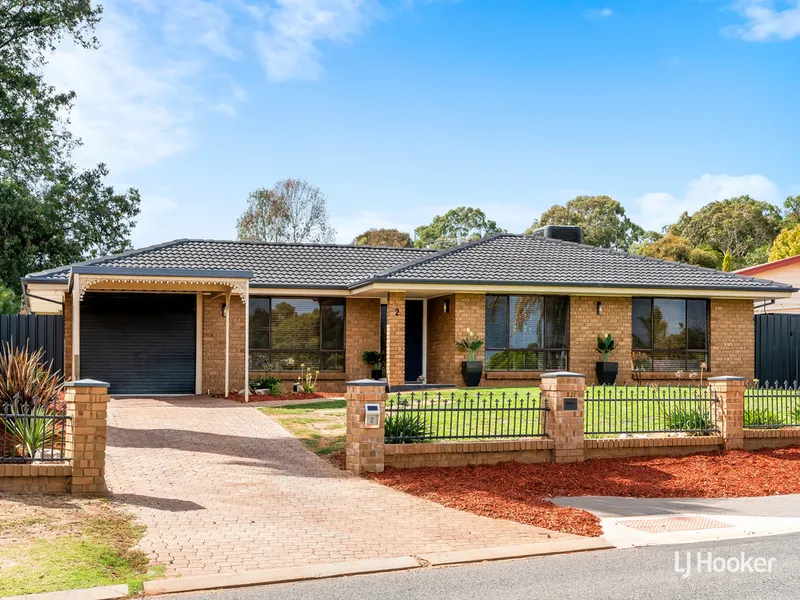 Perfect Family Entertainer