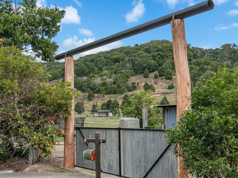 Over 10 acres of lush established land