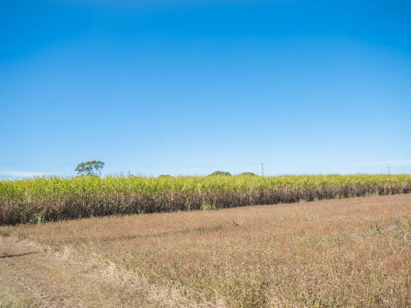Farmland or Lifestyle block with Water and close to Bundaberg