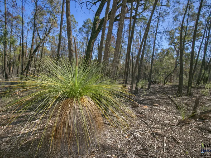 Pristine Bush Escape