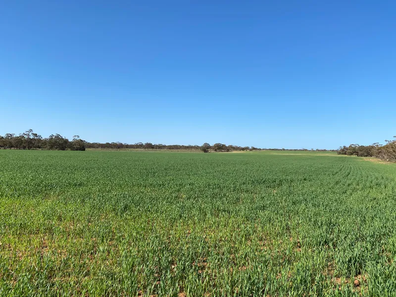 90 Acres - off grid living