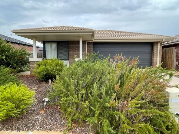 Spacious four bedroom two living home