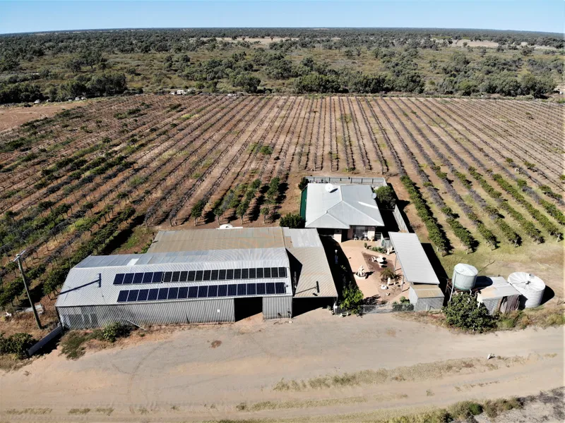 'Shamrock Hill' Menindee Lifestyle Property with Plant and Equipment