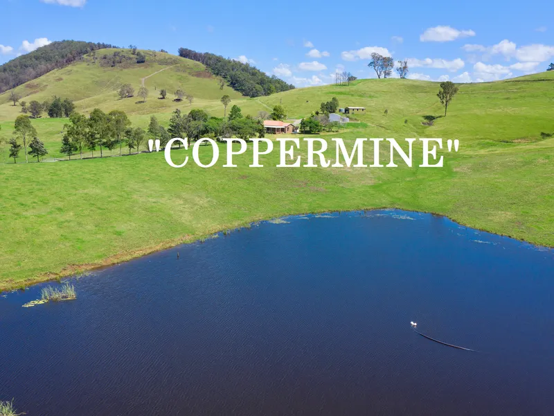 MILL CREEK VALLEY - STROUD NSW - HIGHLY REGARDED CATTLE COUNTRY