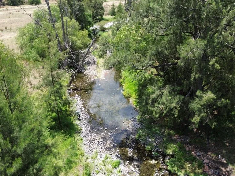 49 Acres with a Dwelling Entitlement