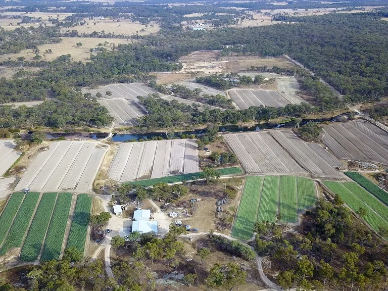 Premium quality farming/1st class Position