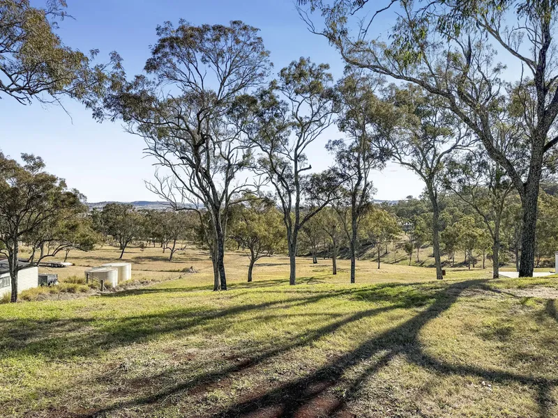 Rarely Found | Highly Sought After