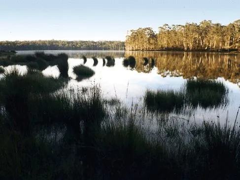 Private Fly Fishing Utopia