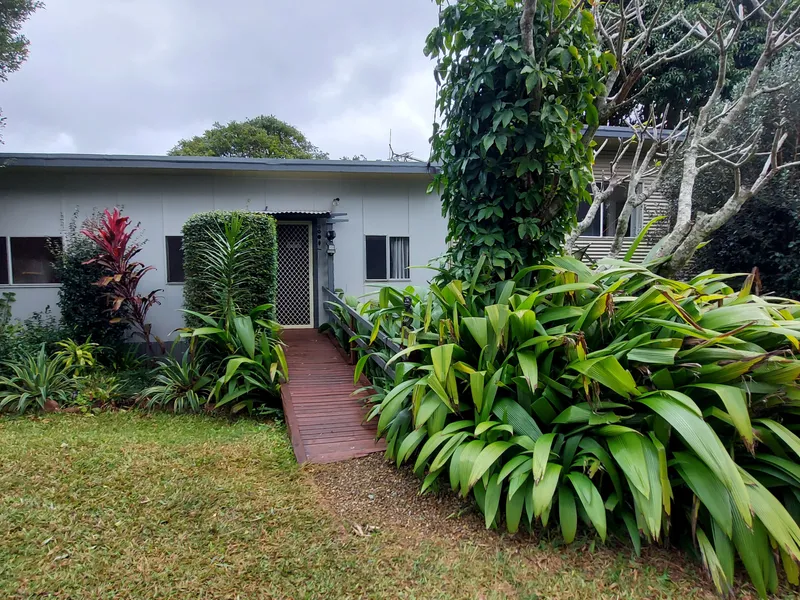 Rainforest Retreat!!