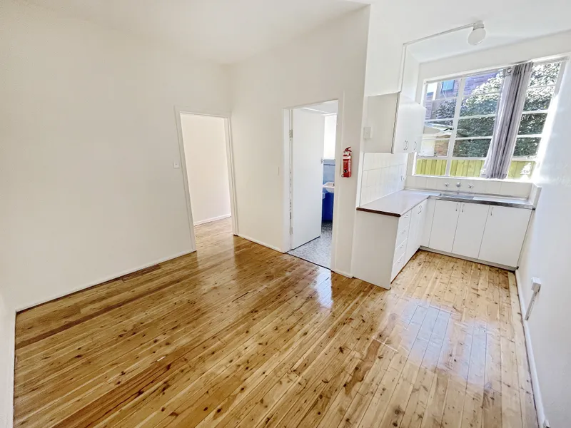 Freshly Painted Studio