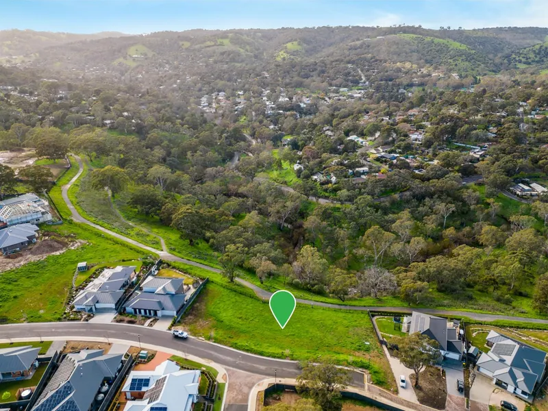 A Beautiful Piece of Land!