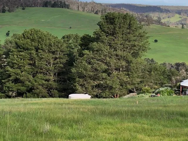 Million Dollar Views At A Reduced Price