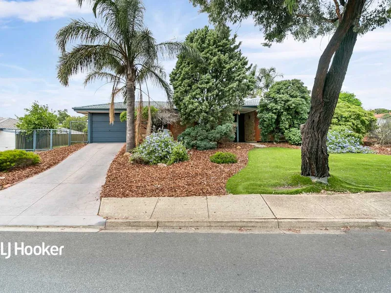 Perfect Investment - Perfect Starter!