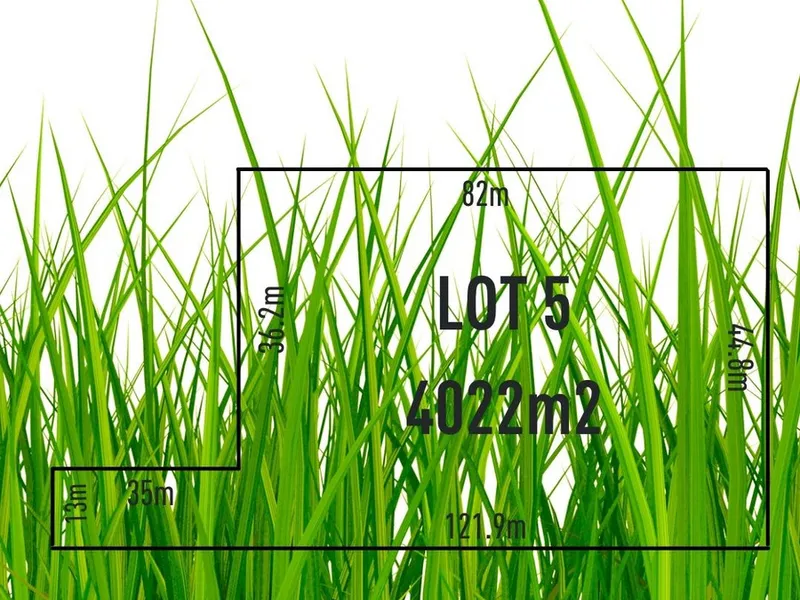 EXCITING LAND RELEASE