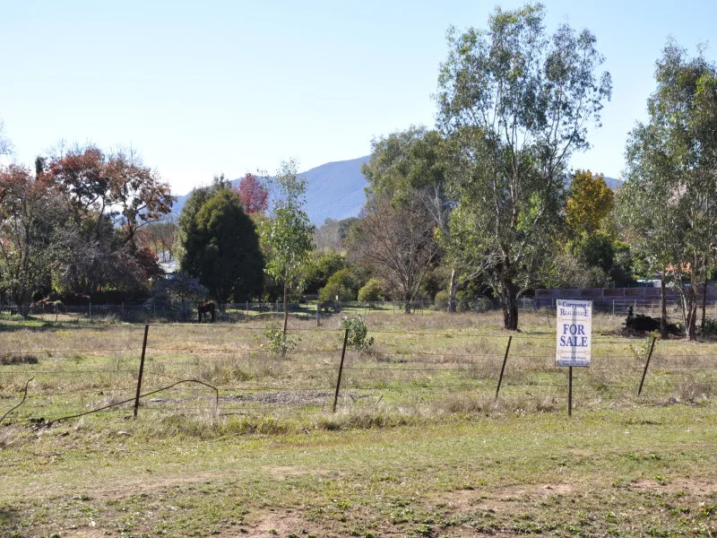 Country Lifestyle Block In Town