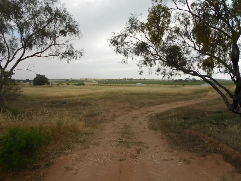 Enjoy this space on the Cattle Track