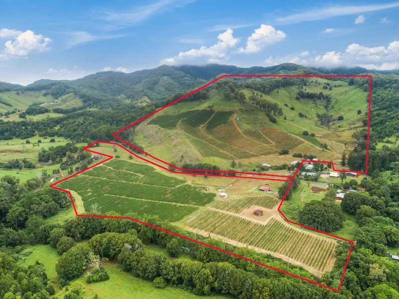High Yield Passionfruit Business/Cattle Farm + 2 Dwellings