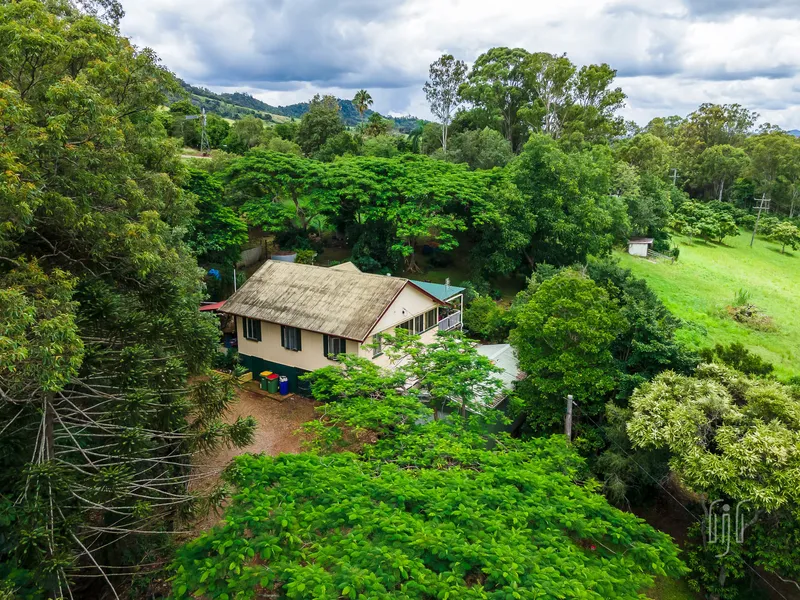 A SLICE OF PRODUCTIVE AMAMOOR COUNTRY!