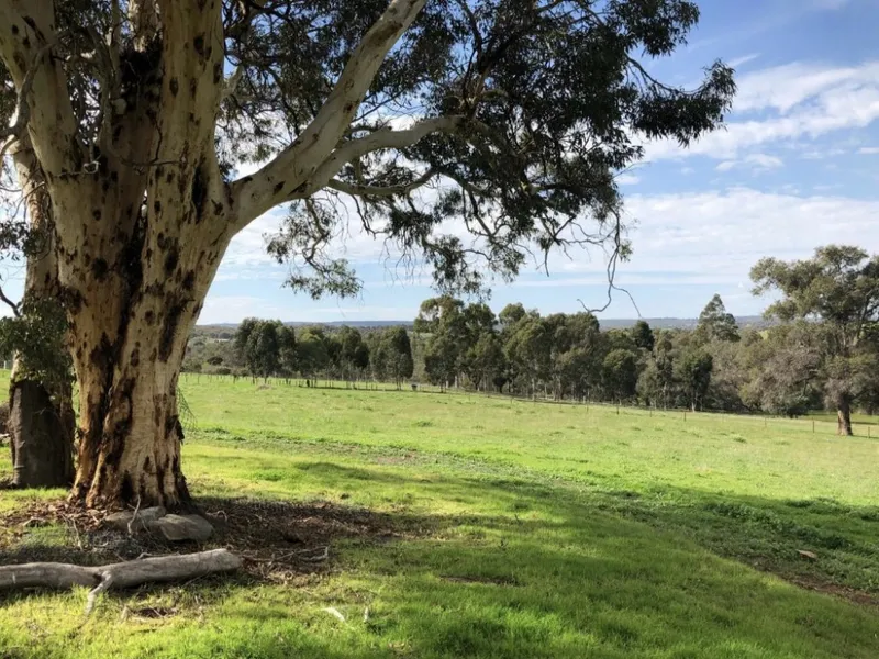 Land for sale Chittering