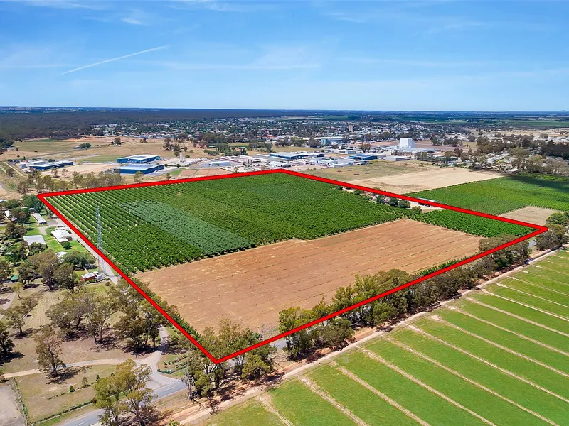 COBRAM INDUSTRIAL SUBDIVISION
