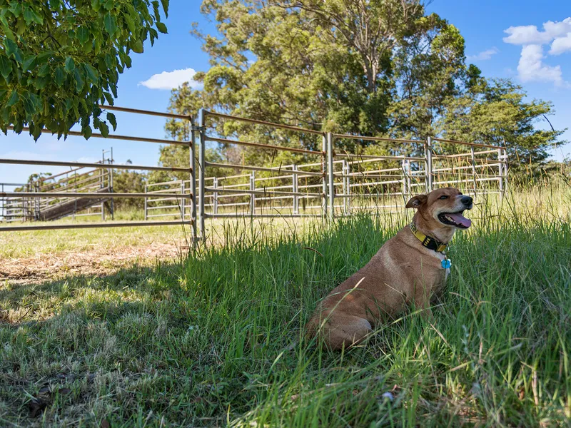 Family Country Life and a Place to Build Your Dreams On