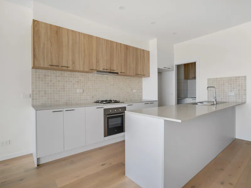 Luxurious split level brand new townhouse