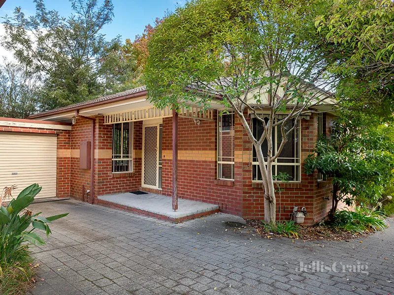 IN THE HEART OF ROSANNA