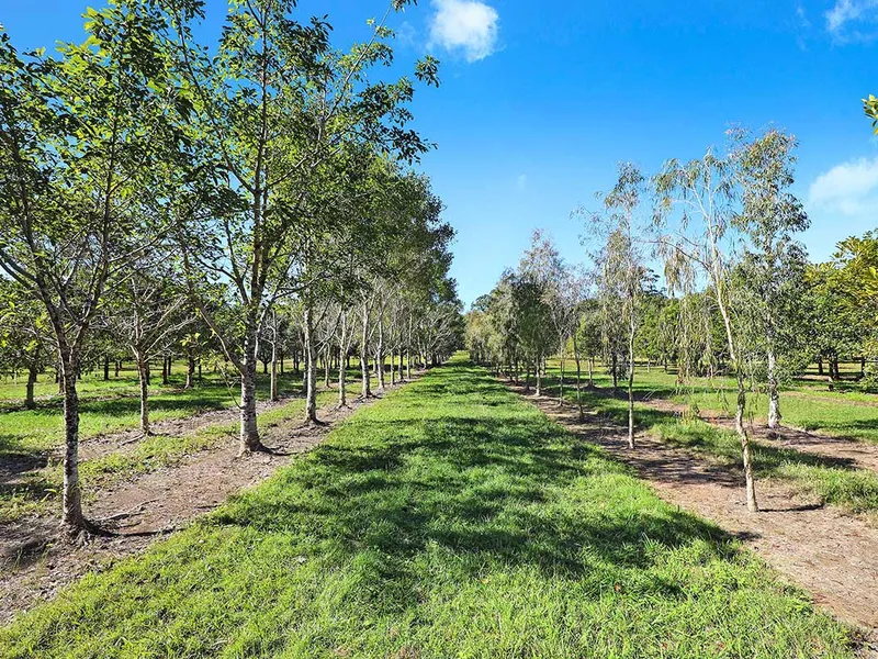 50 acres with Landscape Tree Farm