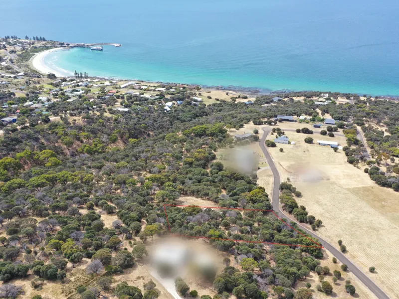 Privacy of the Bush, Wonders of the Ocean!