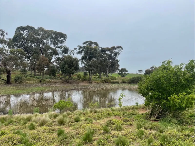 True Value Real Estate proudly presents 133 Acres (approx.) of land + house in Bacchus Marsh - FOR RENT