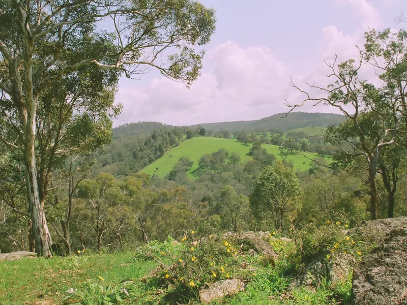 PRICE REDUCTION...  EQUESTRIAN OR LIFESTYLE DREAM PROPERTY