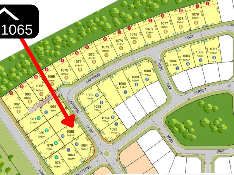 NEW BLOCKS - Available Now!