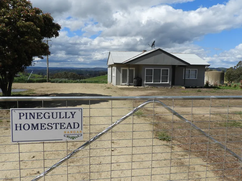 'Pine Gully' Homestead - Great Small Farm