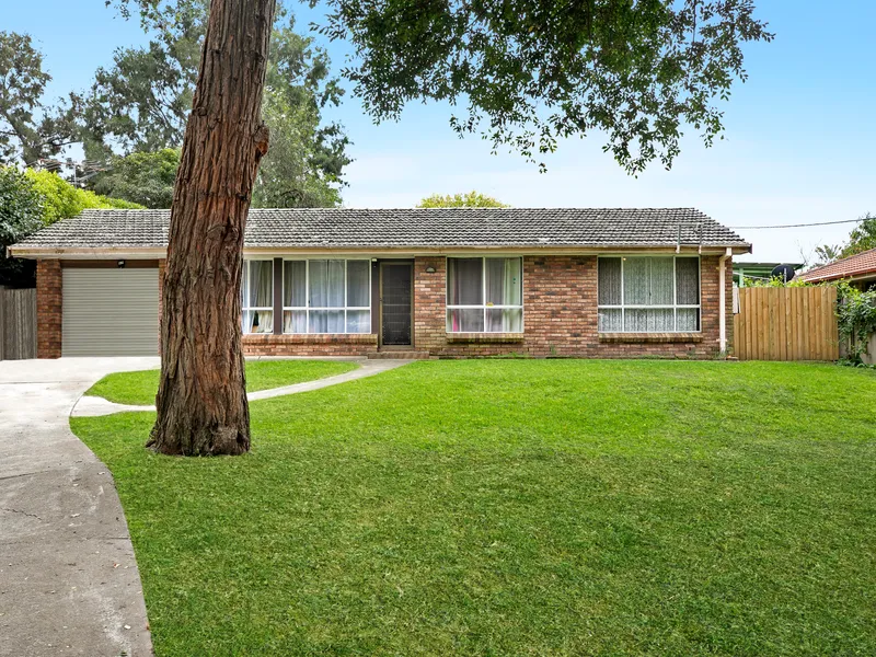 Exceptional Investment Opportunity