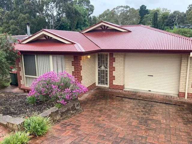 LIGHT & BRIGHT! WHAT A DELIGHT!