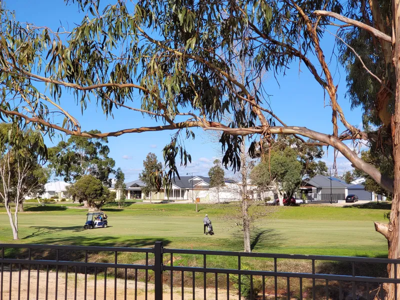 Love Golf? Love This!