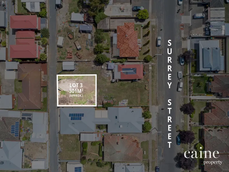 Premium Rare Central Allotment