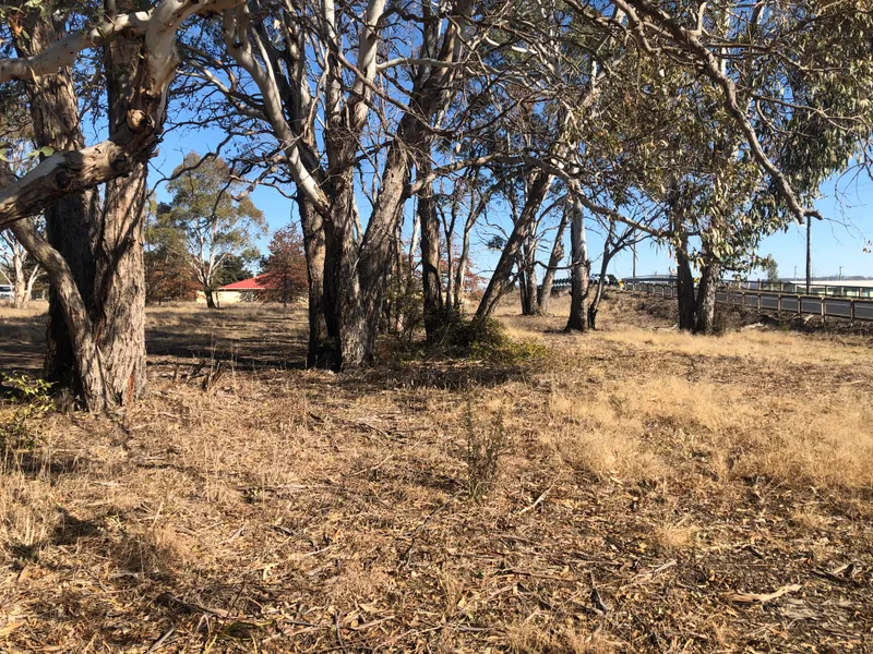 Large Elevated Level Block