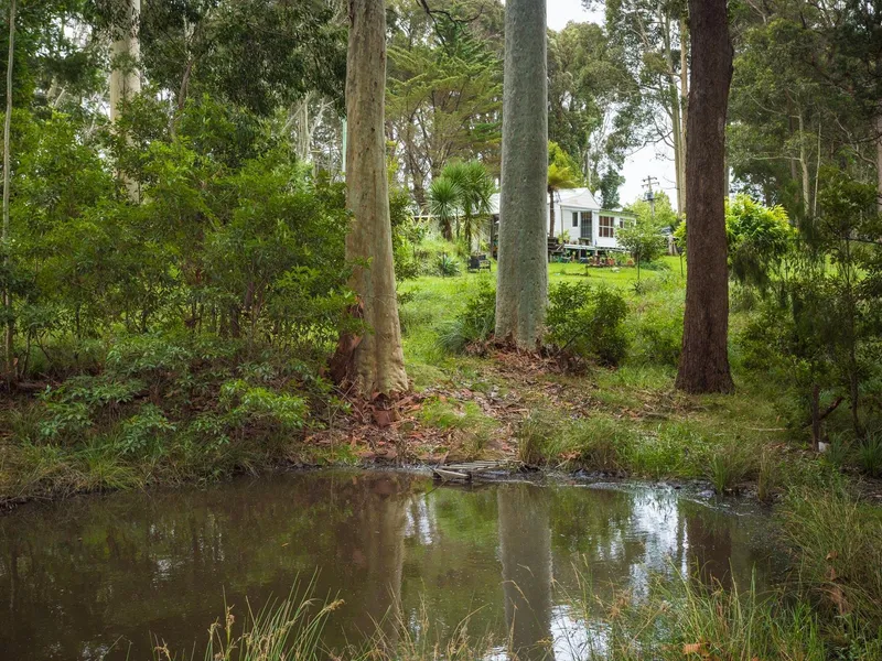 Idyllic Cottage with Potential