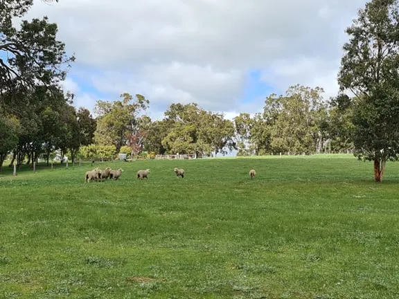 5 Acres in Sought after Location