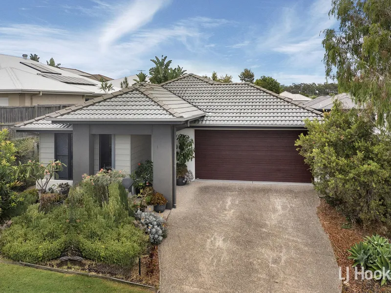 Immaculate And Elevated Home
