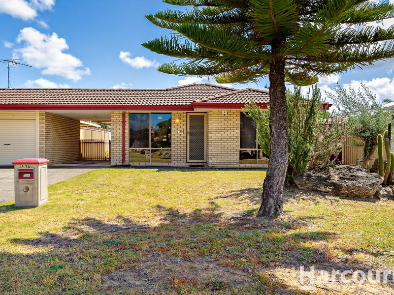 Perfect for the Portfolio