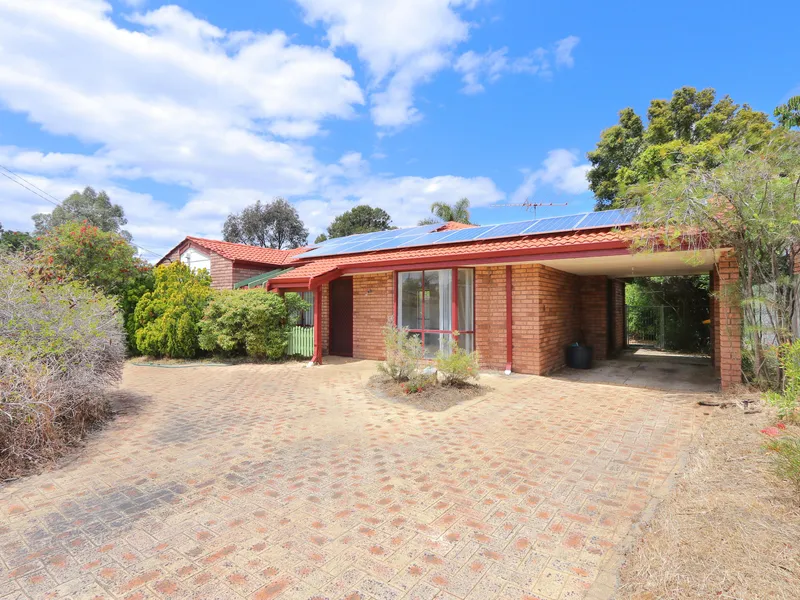 Just In Time For Summer!